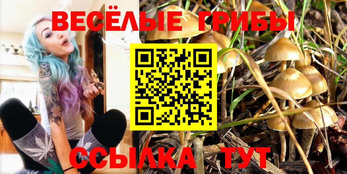 Шелехов  Псилоцибиновые грибы Magic Shrooms  Галлюциногенные грибы Psilocybe  Вход с VPN 
